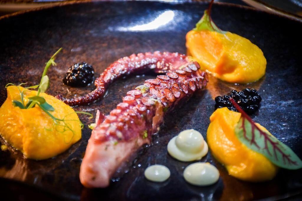 A dish with octopus, mango, and blackberries on a dark plate.