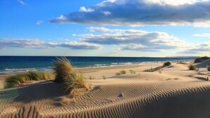 Een strand met duinen, een heldere lucht en de oceaan.