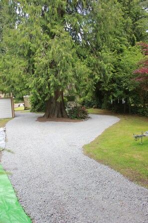 Guests enter through a scenic driveway surrounded by lush greenery and a large coniferous tree.