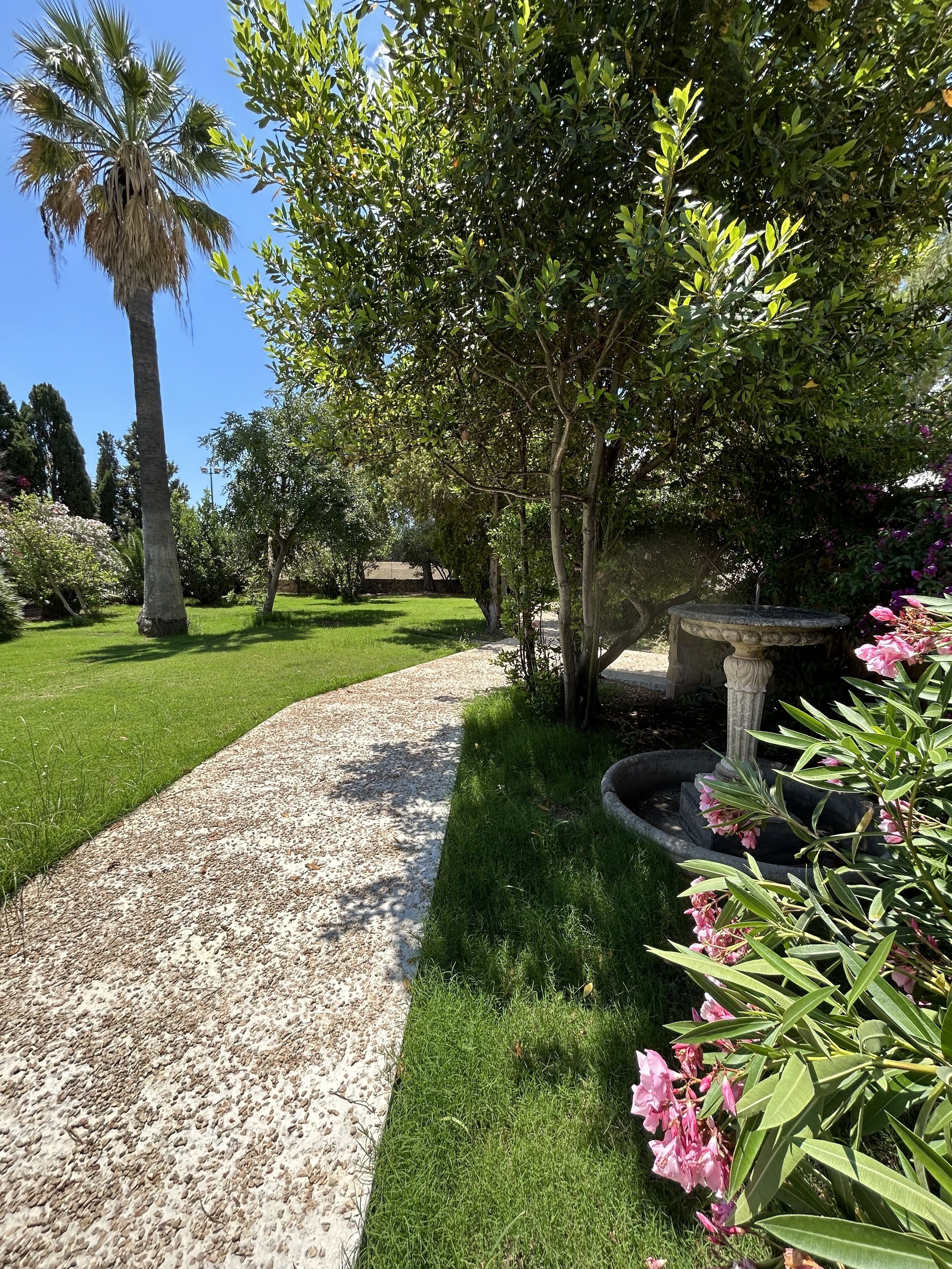 A garden pathway with a gravel surface, surrounded by lush greenery and flowering plants.