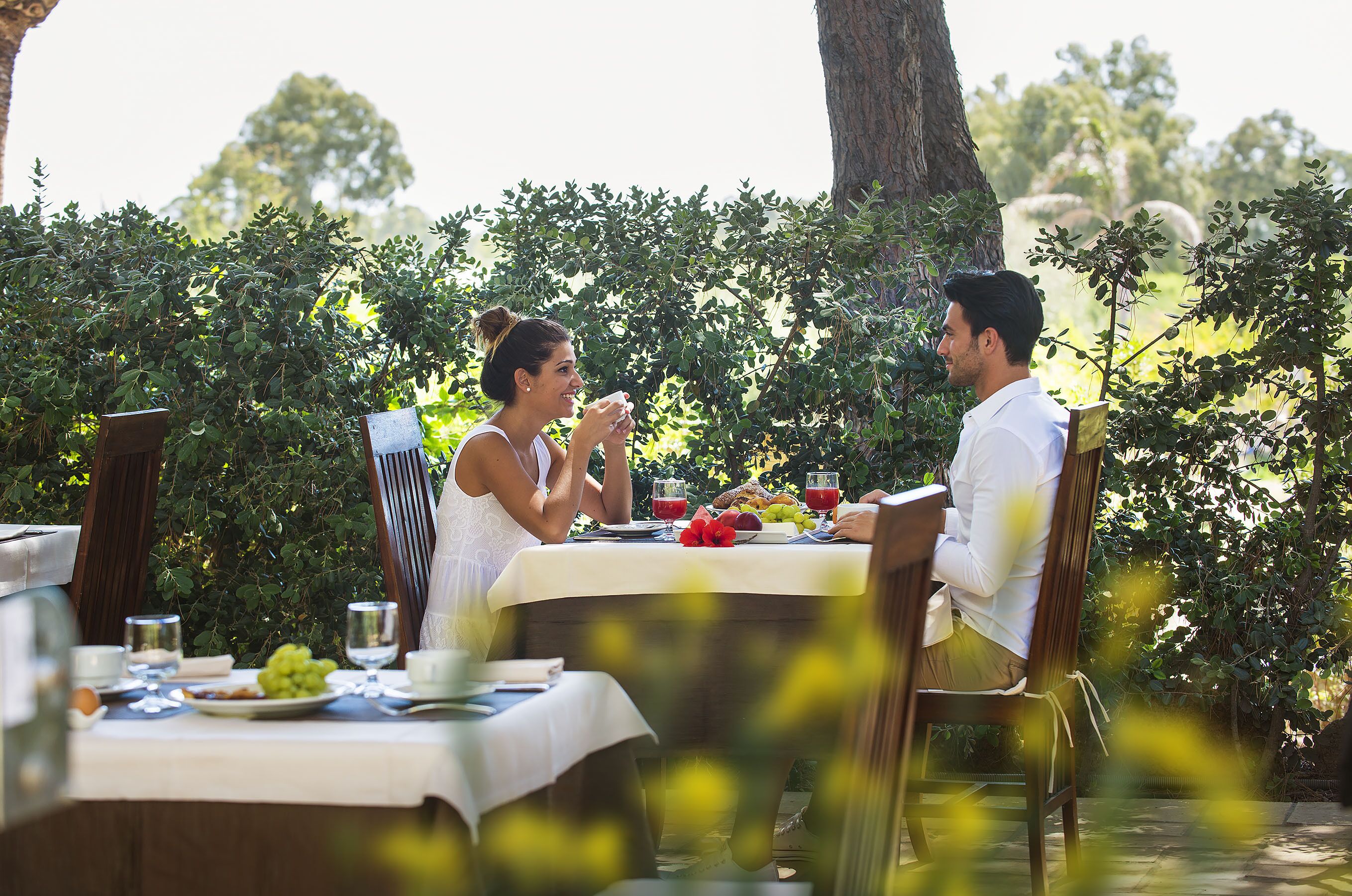 A dining table set outdoors with a view of greenery and trees.