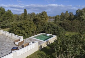 Una piscina en la azotea con borde de piedra, rodeada de exuberante vegetación y árboles.