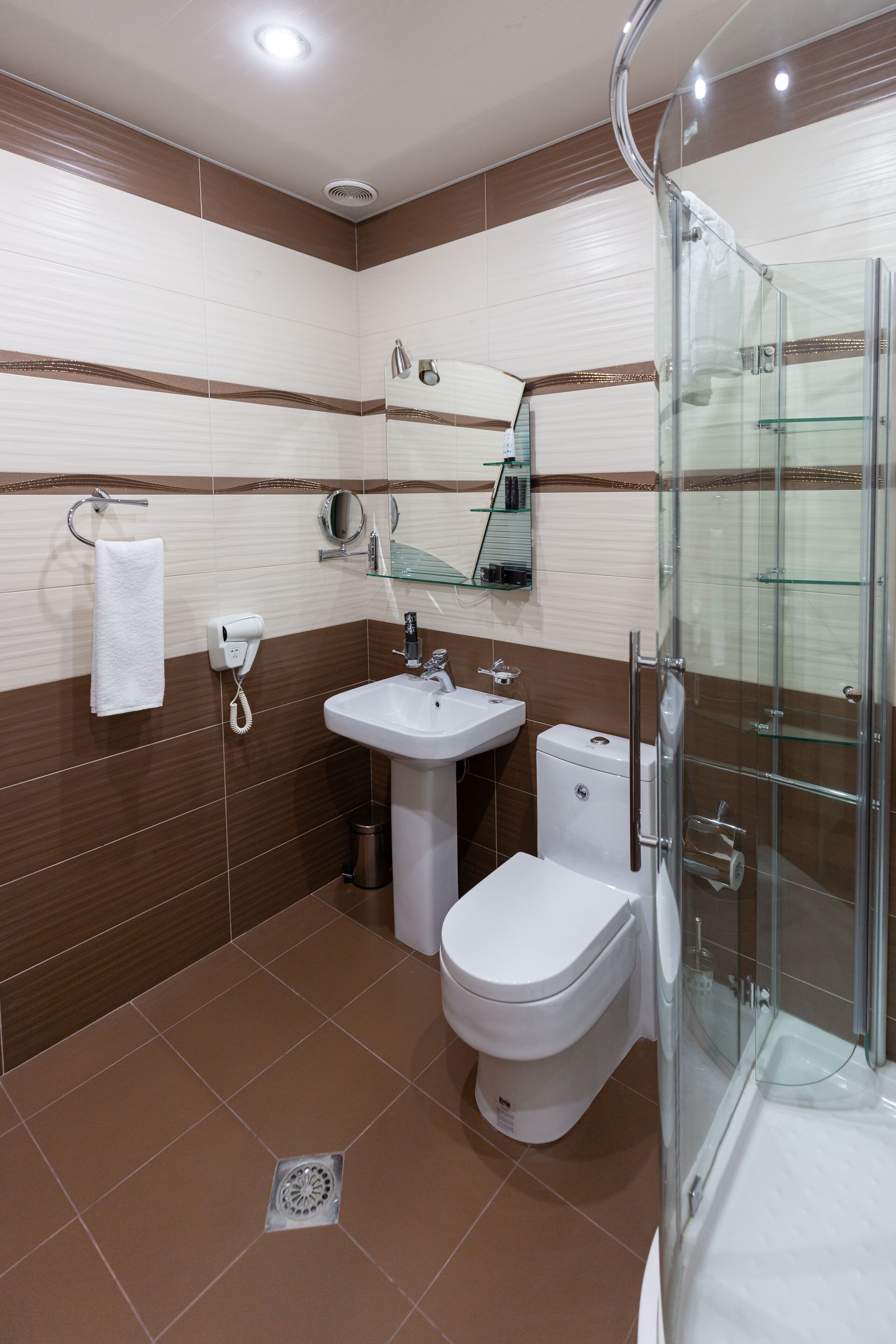 A modern bathroom with a glass shower enclosure, a white sink, and a toilet.
