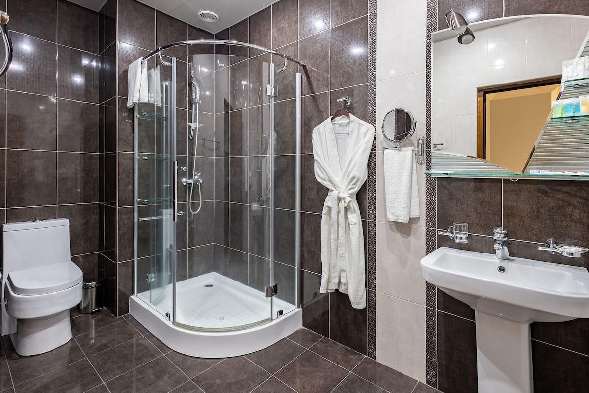 deluxe double room, 1 bedroom | bathroom | shower, rainfall showerhead, free toiletries, hair dryer