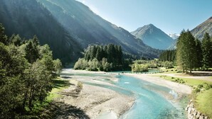 Ein Fluss schlängelt sich durch eine gebirgige Landschaft mit dichten Wäldern und klarem Himmel.