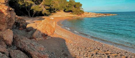 Plage à proximité