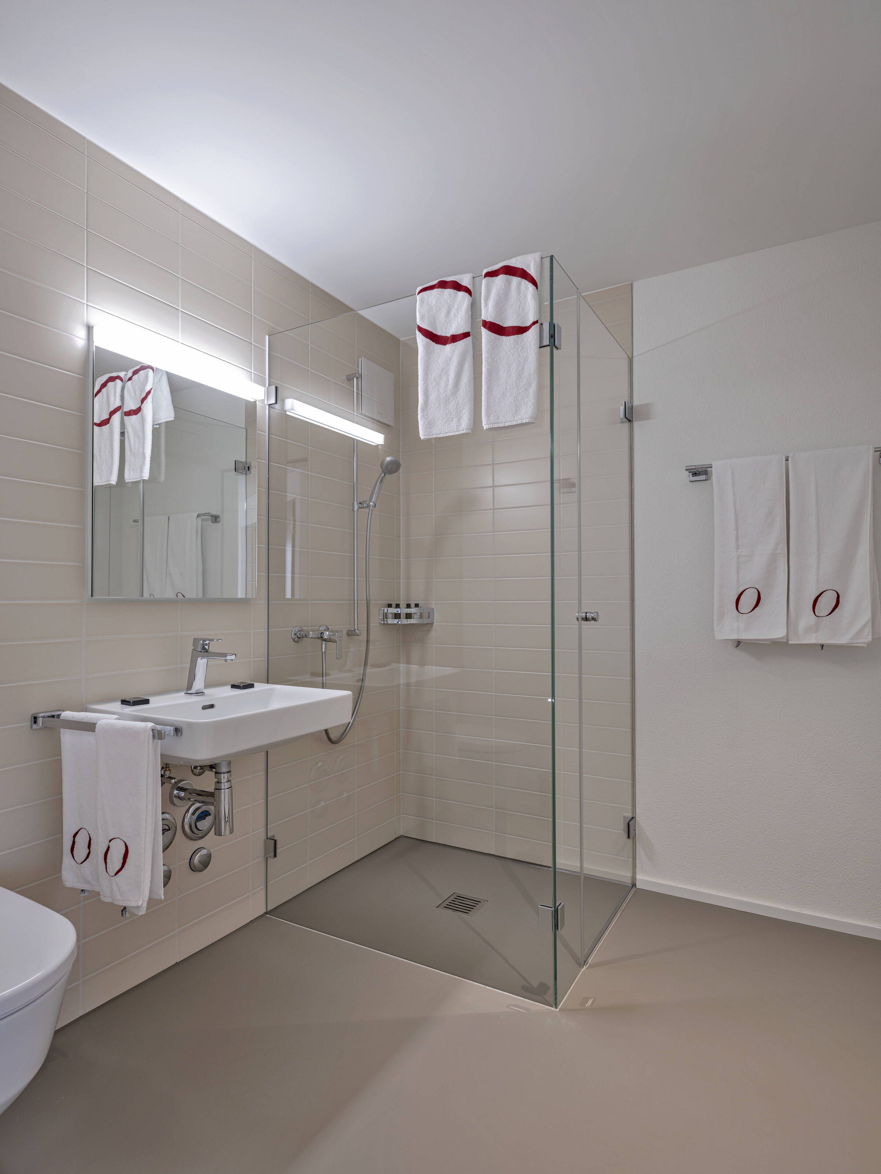 A modern bathroom with a glass-enclosed shower, a white sink, and a mirror above it.