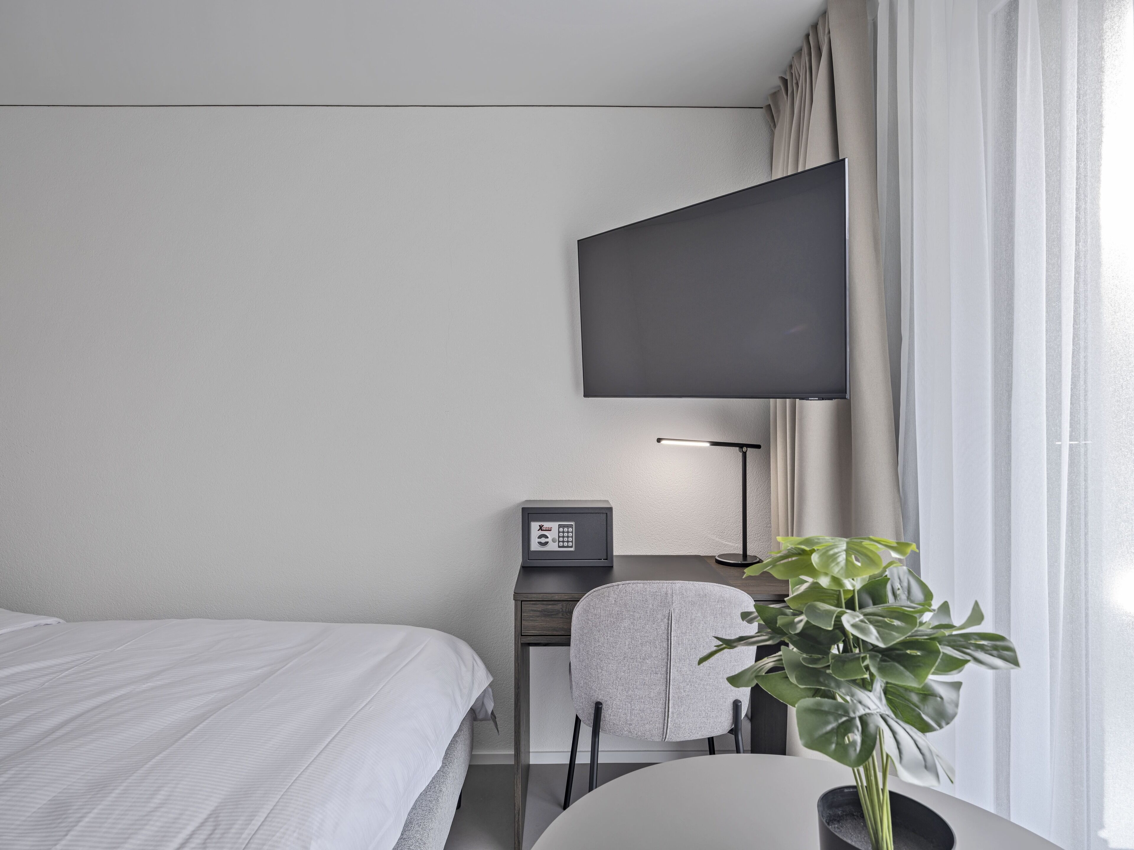 A hotel room with a bed, a desk with a chair, a television, a lamp, and a potted plant.