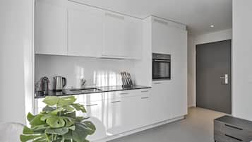 Basic Apartment | Private kitchen | Fridge, oven, stovetop, dishwasher