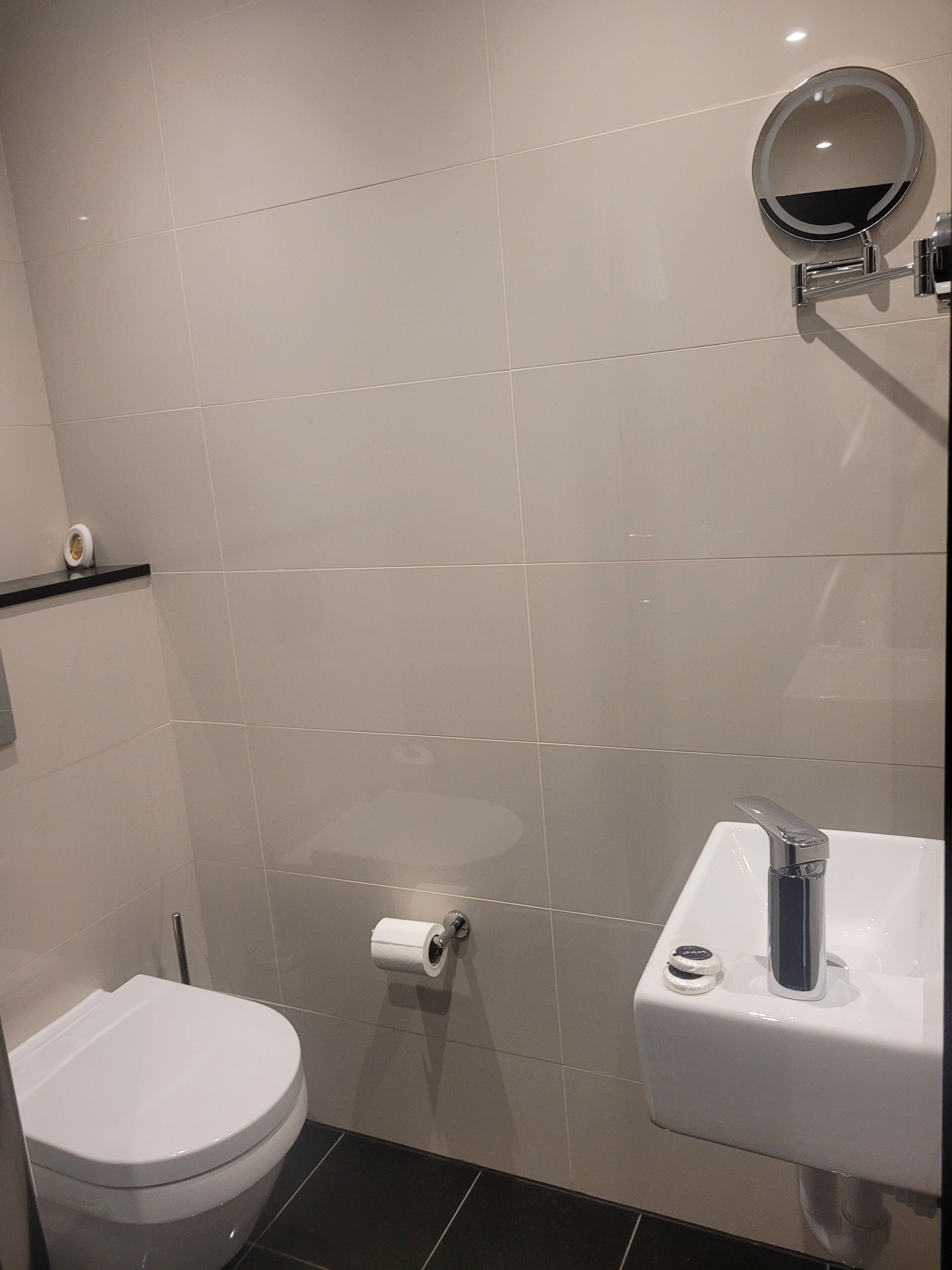 A bathroom with a toilet, a sink, and a mirror.