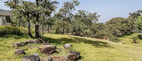 Jardin