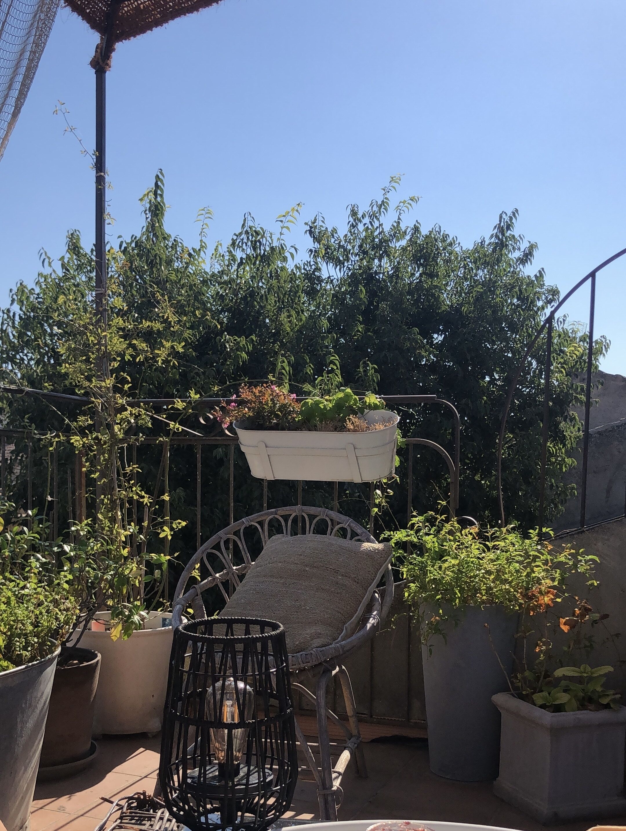 En uteplats med en metallstol, krukväxter och en hängande blomkruka.