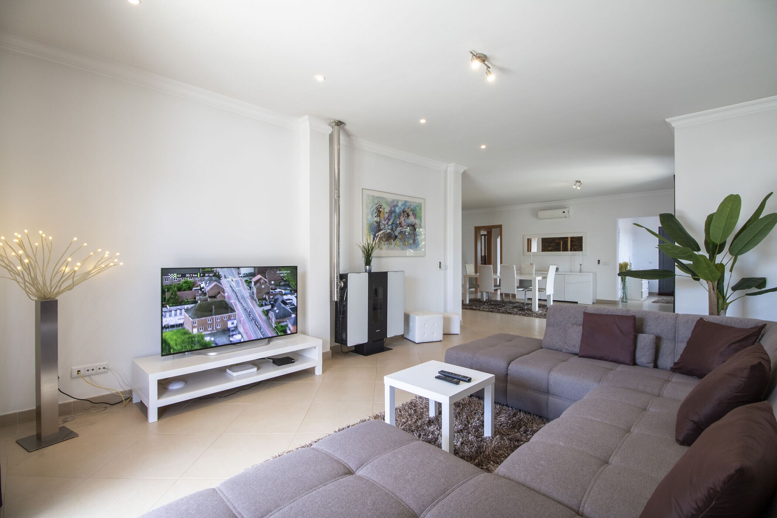 TV, lareira, DVD player