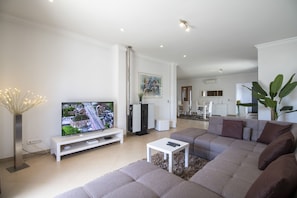TV, fireplace, DVD player