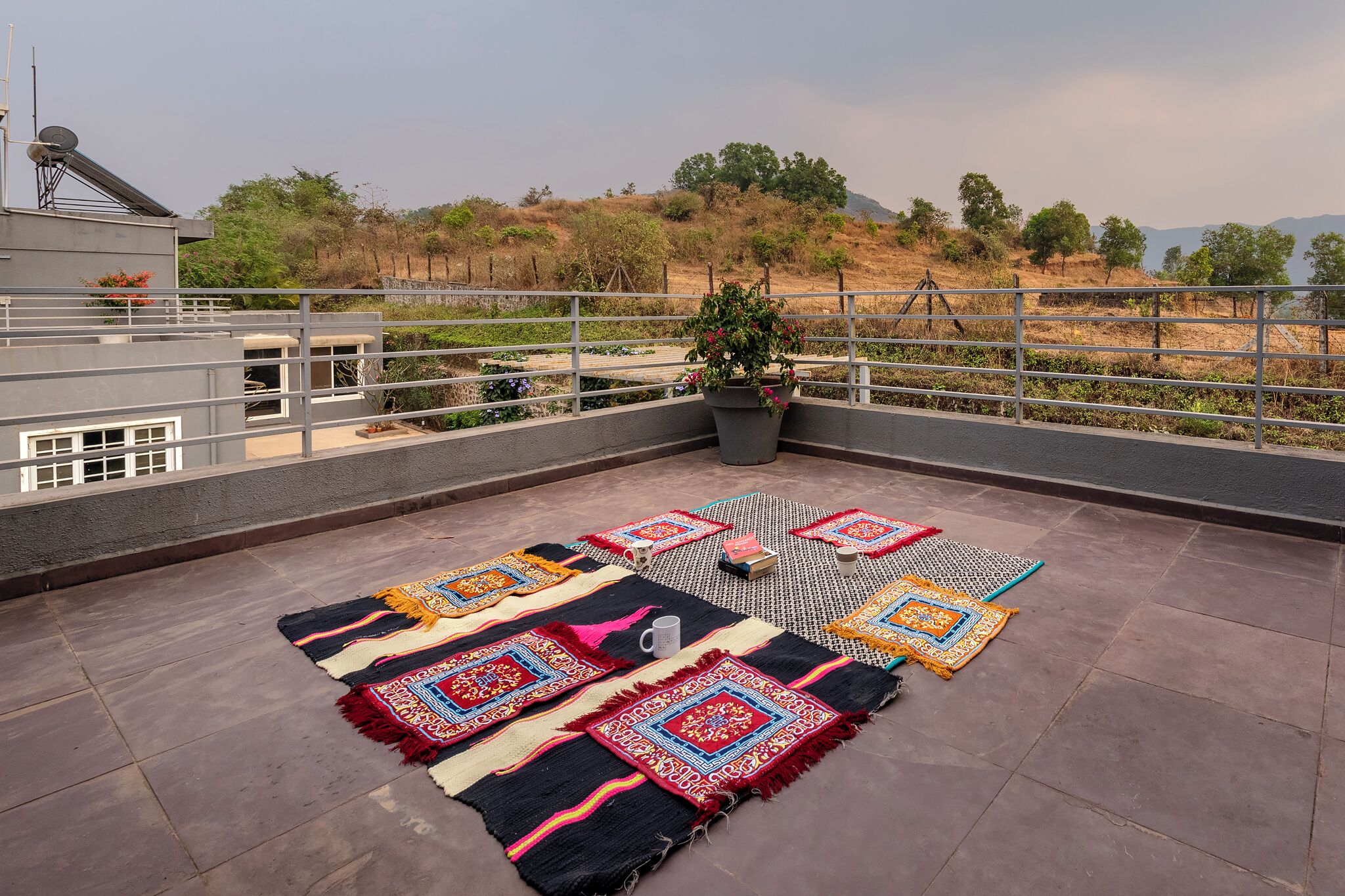 Una terraza en la azotea con alfombras de colores, una planta en maceta y barandilla metálica.