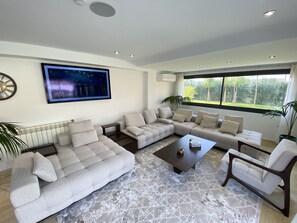 Smart TV, fireplace, stereo, computer monitors