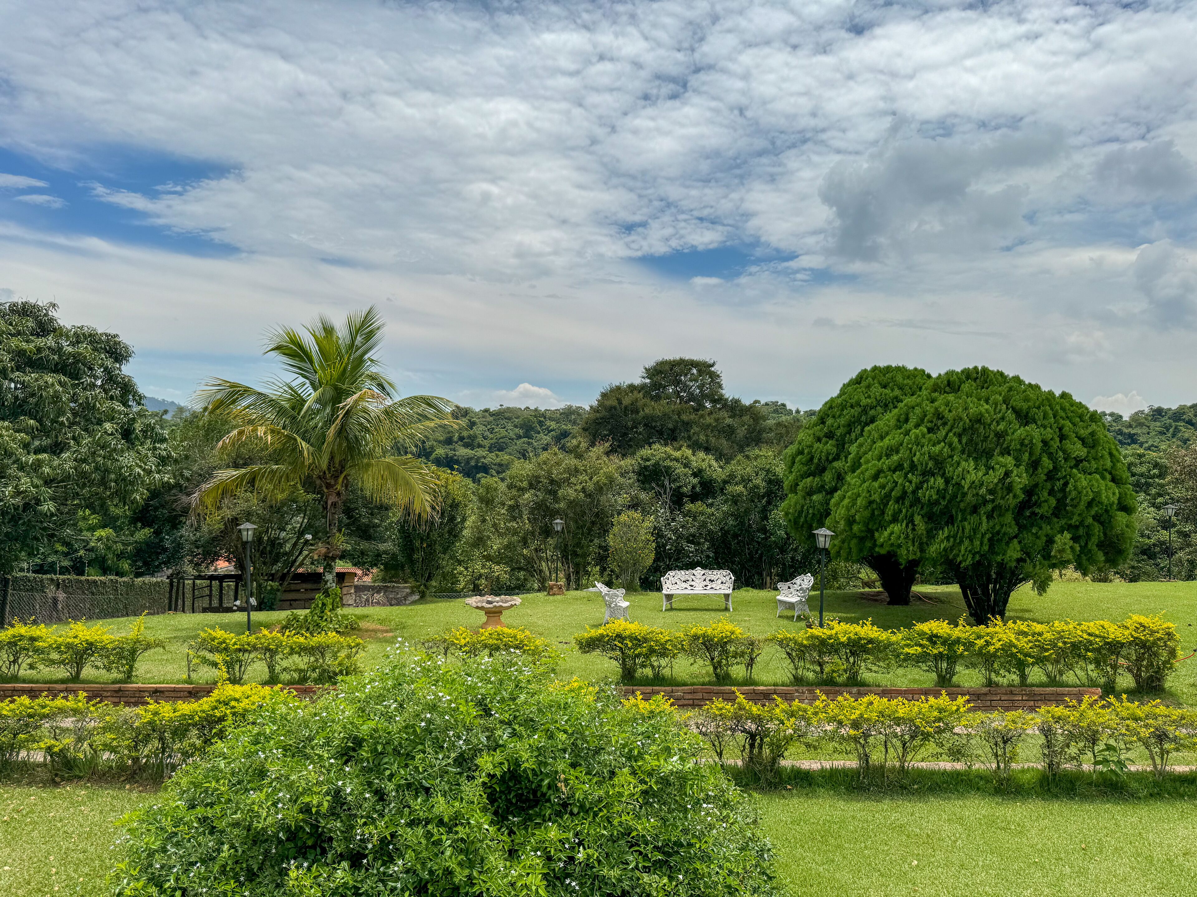 Un jardín exuberante con diversos árboles, un banco blanco y un césped cuidado.