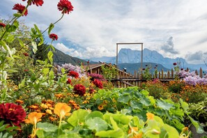 Property grounds - Oberfallerhof 'Apartment Ummi' with Mountain View, Garden & Wi-Fi (Barbiano)