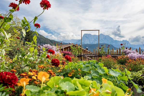 A garden with a wooden fence, a wooden structure, and mountains in the background.
