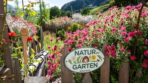 Ein Schild mit Naturmotiv, umgeben von einem Holzzaun und verschiedenen blühenden Pflanzen.