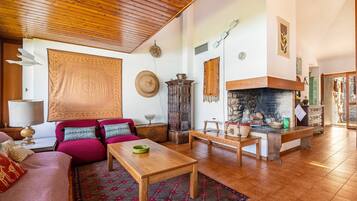 Télévision, cheminée, lecteur de DVD, table de tennis de table