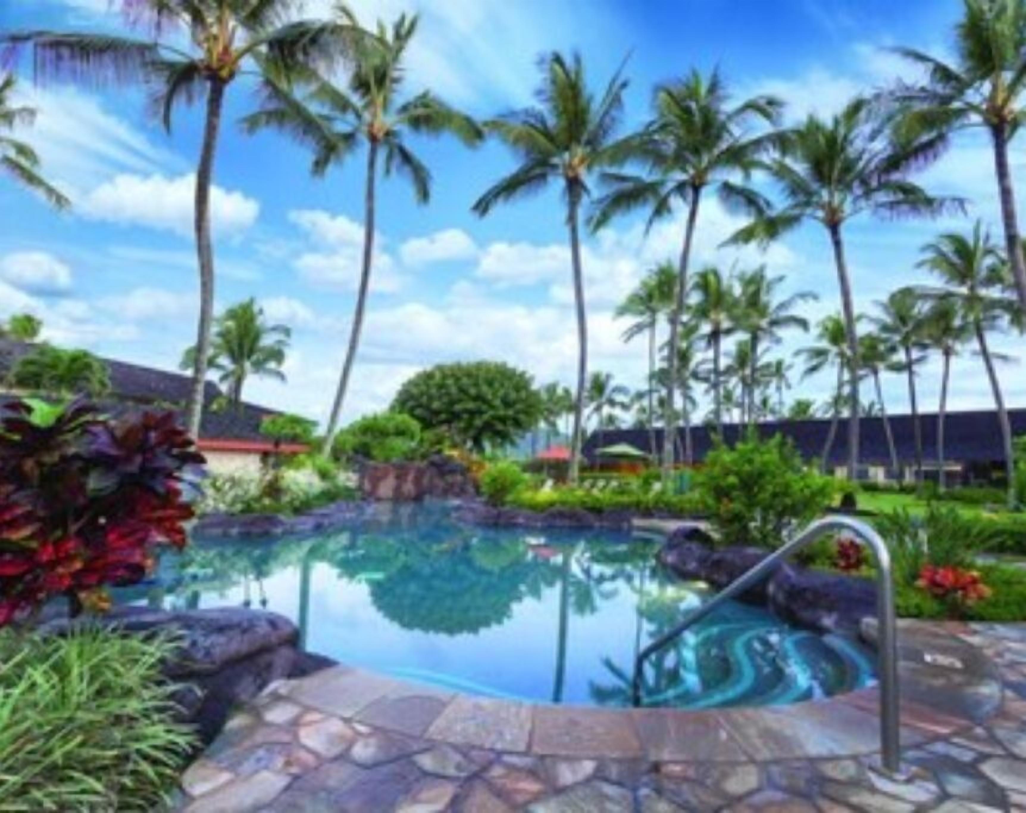 A pool surrounded by palm trees and a stone pathway.