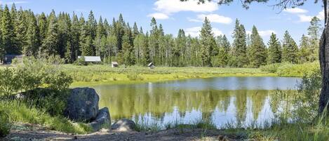 Una escena serena junto al lago con una cabaña, un bosque denso y un cielo despejado.