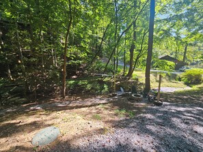 Unclassified image, 4 of 31, button