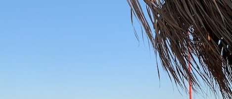 施設の敷地