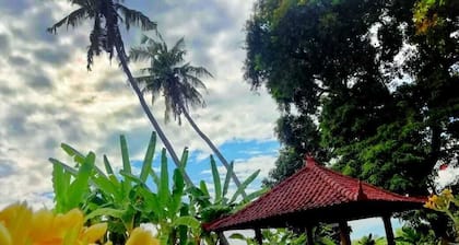 Private Villa North Bali with Ocean Pool Rice Field View