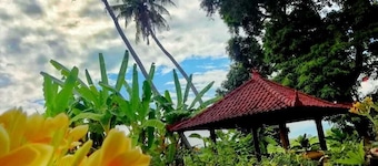 Private Villa North Bali with Ocean Pool Rice Field View
