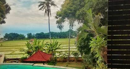 Private Villa North Bali with Ocean Pool Rice Field View