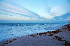 Une plage avec des vagues, des algues et un ciel dégagé.