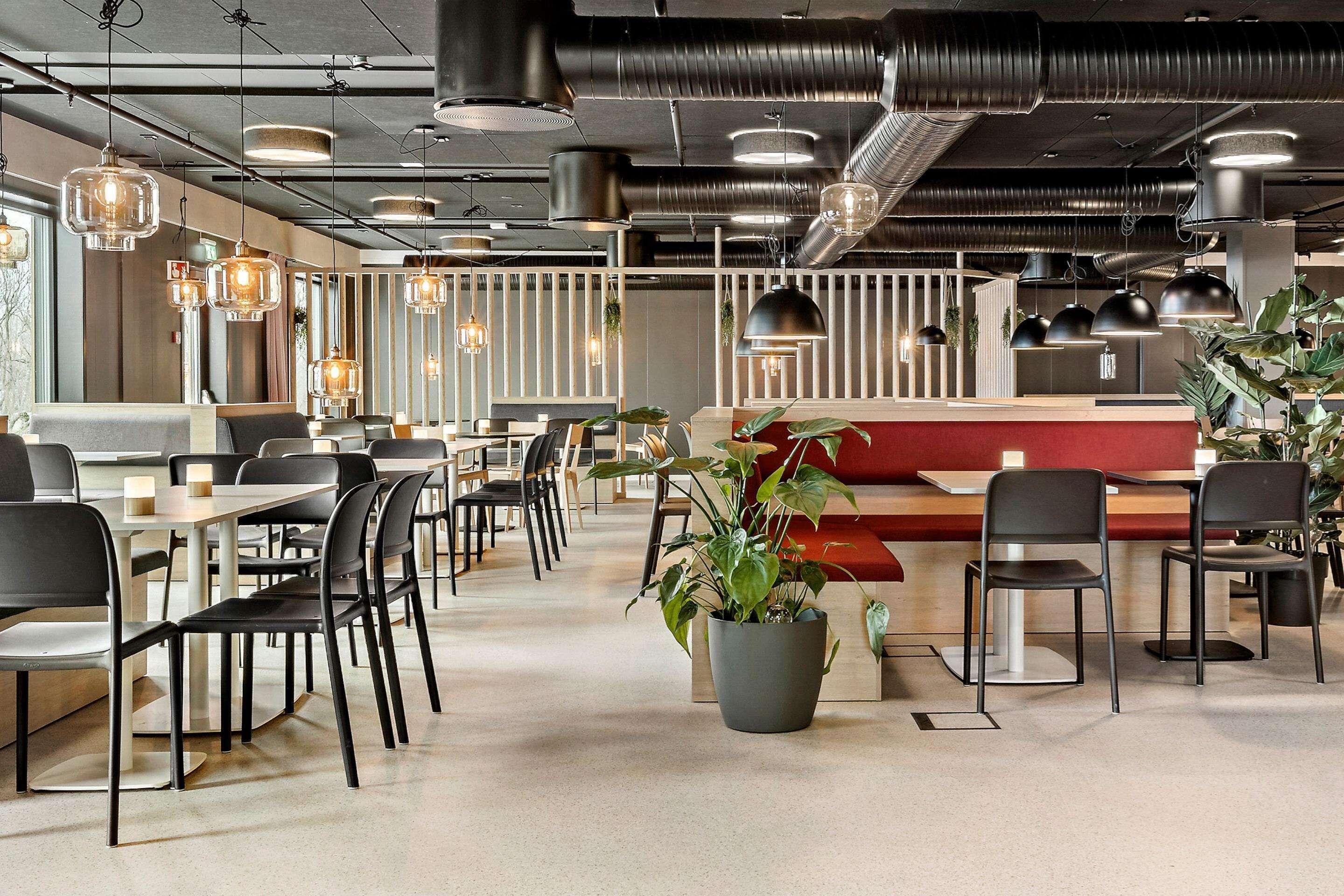 A modern interior with tables and chairs, a potted plant, and pendant lighting.