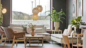 Una sala de estar moderna con un ventanal grande, un sofá, una mesa de centro y una planta en maceta.