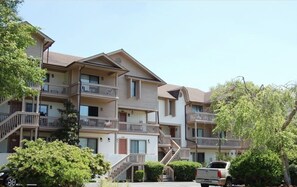 Exterior - Pelican Perch with Pool View Condo w/ 3 Porches! (Myrtle Beach)