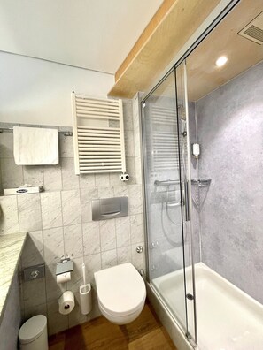 Basic Room | Bathroom | Shower, hair dryer, towels - Hotel Balsthal (Balsthal)