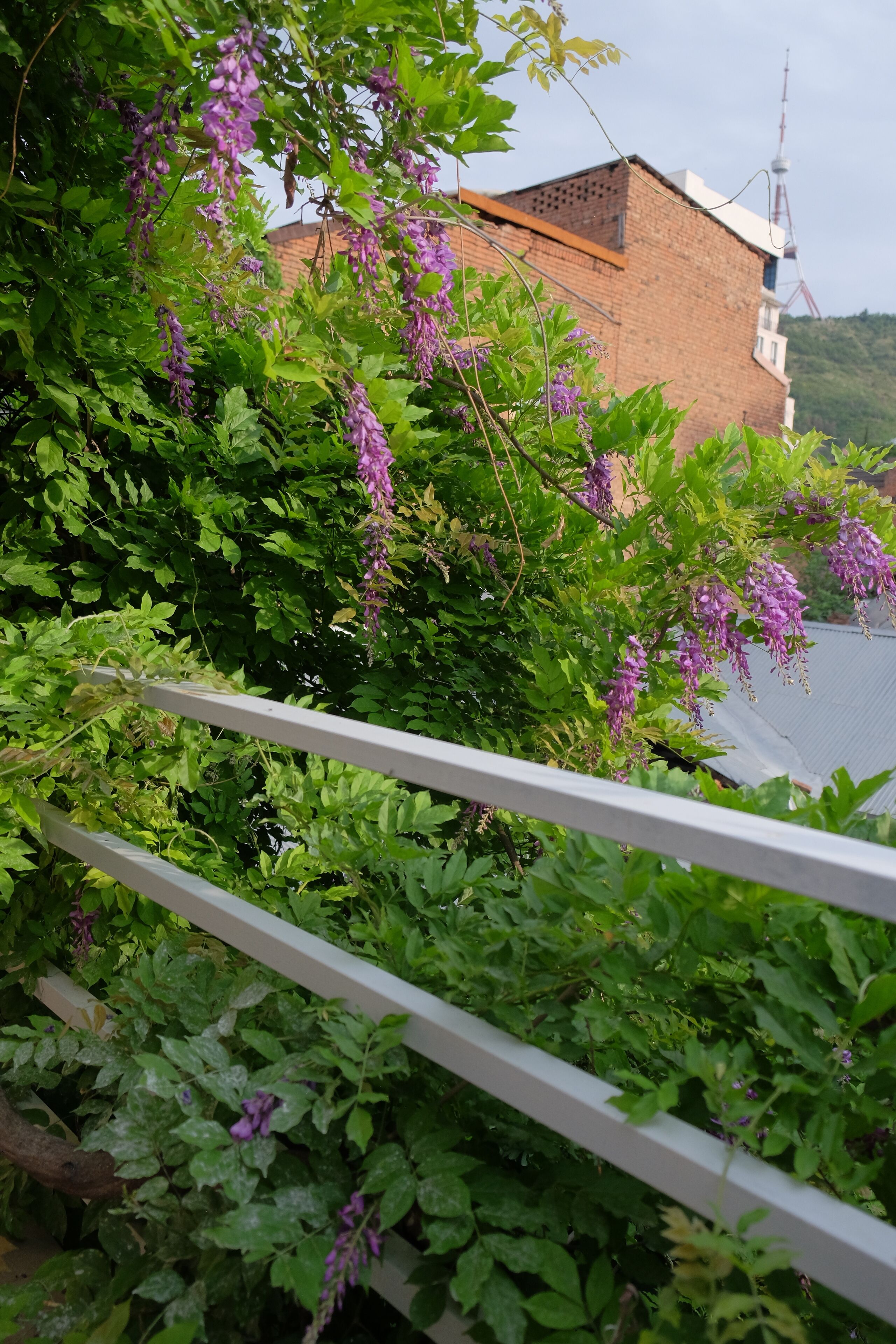 Photo - Blueberry Nights Hotel