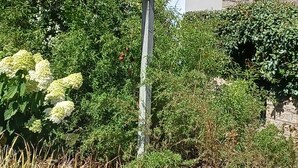 Moderni talo, jossa on kiviverhous, puinen pergola ja runsas viherkasvillisuus.