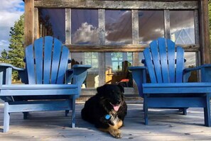 Ein Hund liegt zwischen zwei blauen Adirondack-Stühlen auf einer Holzterrasse.