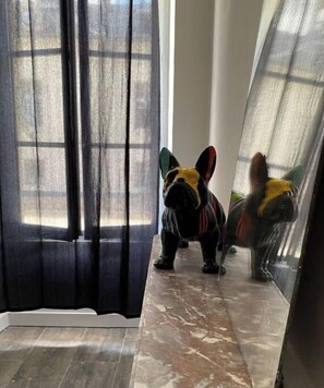 Interior - Rambouillet - Centre Ville (Rambouillet)