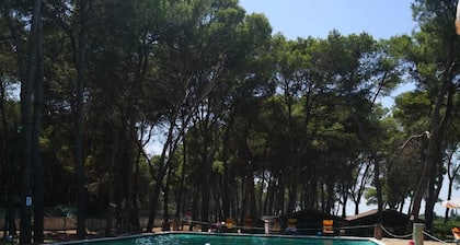 Bungalow in contesto naturalistico a 800 mt da spiaggia libera .