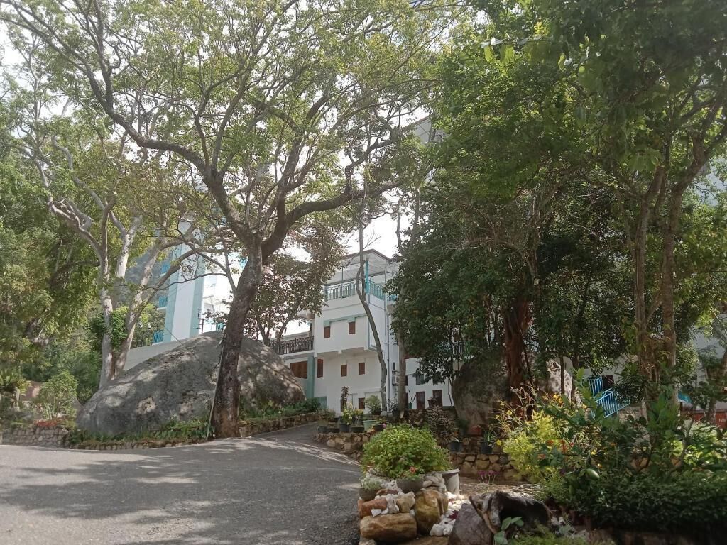 Un barrio residencial con un edificio blanco, árboles grandes y una calle pavimentada.