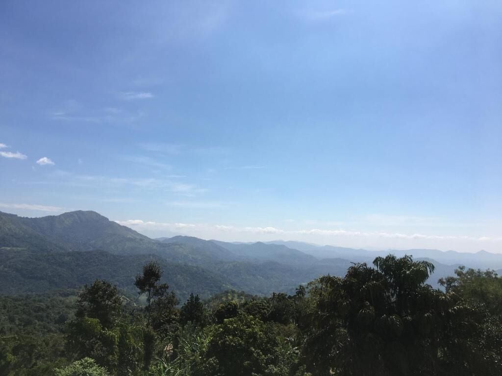 A mountainous landscape with dense forest.