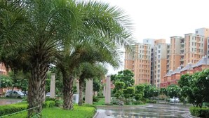 A residential area with palm trees, a wet pathway, and high-rise apartment buildings in the background. - Explore Rajasthan's rich cultural heritage in NCR (Neemrana)