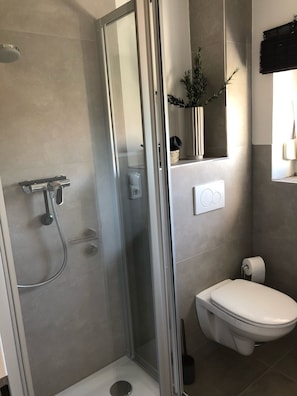 Douche, séchoir à cheveux, serviettes fournies, savon