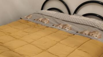 House | 2 bedrooms, iron/ironing board, bed sheets