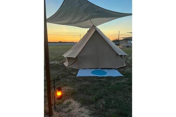 Experience the great outdoors in a spacious tent with a single pole and canopy, set amidst a lush grassy field.