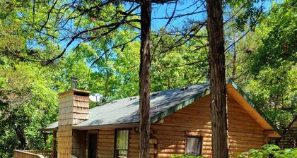 Cabin #10-Cozy log cabin nestled in the woods brief walk to Table Rock Lake
