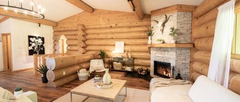 Téléviseur, foyer, livres, bureau